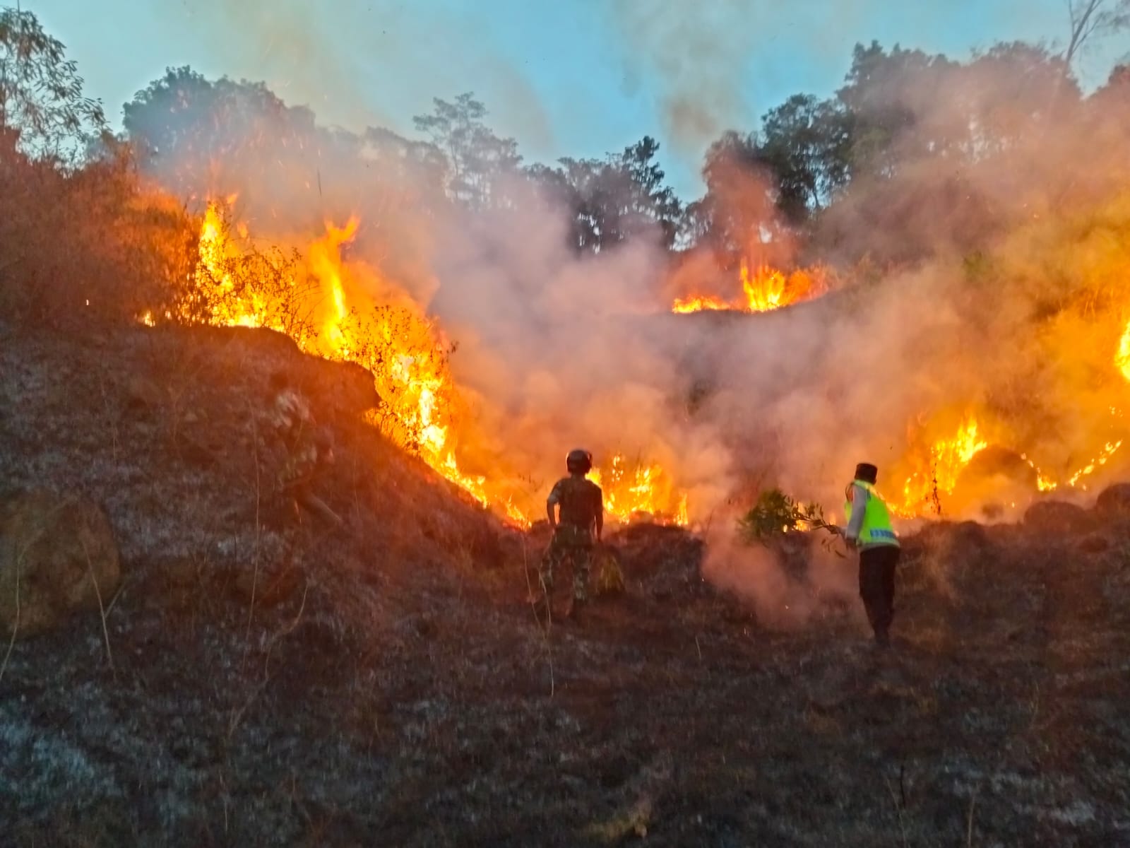 Kebakaran Lahan Kosong Seluas 4.000 Meter Persegi Terjadi di Kesesi, Polisi dan Warga Berjibaku Padamkan Api